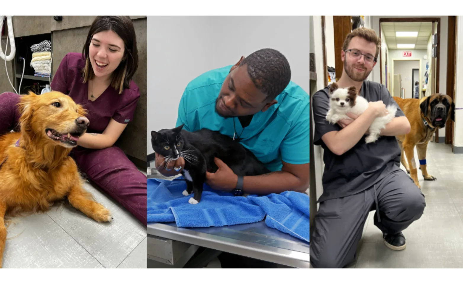 Three Staff Members with Dogs and Cats